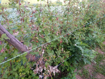 Mještani Dražev Doca sumiraju štete od grada