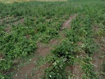 Mještani Dražev Doca sumiraju štete od grada