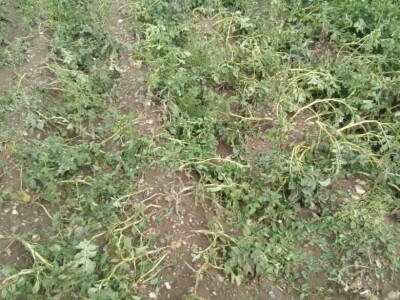 Mještani Dražev Doca sumiraju štete od grada