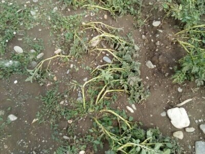 Mještani Dražev Doca sumiraju štete od grada