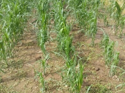 Mještani Dražev Doca sumiraju štete od grada