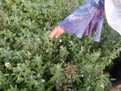 Mještani Dražev Doca sumiraju štete od grada