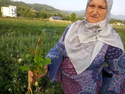 Mještani Dražev Doca sumiraju štete od grada