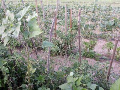 Mještani Dražev Doca sumiraju štete od grada