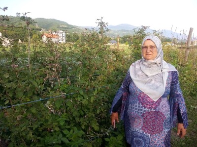 Mještani Dražev Doca sumiraju štete od grada