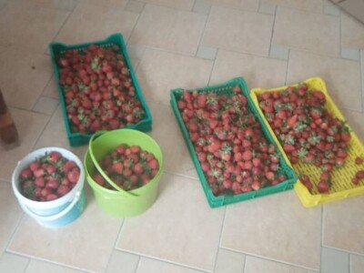 Mještani sela Boljkovac i Dobrošin gledali kako u nekoliko minuta nestaje sav njihov trud