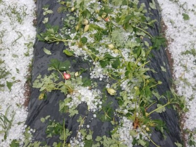 Mještani sela Boljkovac i Dobrošin gledali kako u nekoliko minuta nestaje sav njihov trud