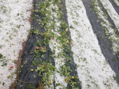 Mještani sela Boljkovac i Dobrošin gledali kako u nekoliko minuta nestaje sav njihov trud