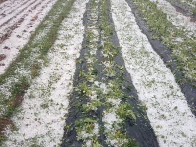 Mještani sela Boljkovac i Dobrošin gledali kako u nekoliko minuta nestaje sav njihov trud