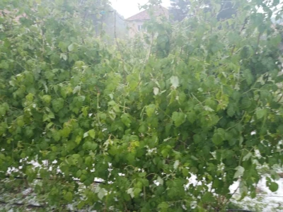 Mještani sela Boljkovac i Dobrošin gledali kako u nekoliko minuta nestaje sav njihov trud