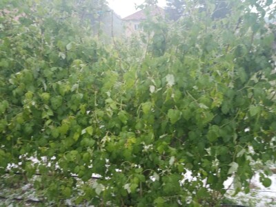 Mještani sela Boljkovac i Dobrošin gledali kako u nekoliko minuta nestaje sav njihov trud