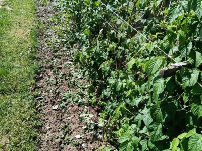 Mještani sela Boljkovac i Dobrošin gledali kako u nekoliko minuta nestaje sav njihov trud