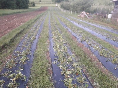 Mještani sela Boljkovac i Dobrošin gledali kako u nekoliko minuta nestaje sav njihov trud