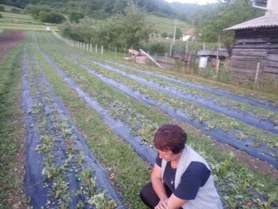 Mještani sela Boljkovac i Dobrošin gledali kako u nekoliko minuta nestaje sav njihov trud