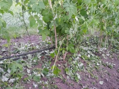 Mještani sela Boljkovac i Dobrošin gledali kako u nekoliko minuta nestaje sav njihov trud