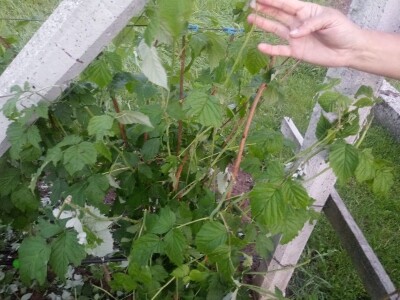 Mještani sela Boljkovac i Dobrošin gledali kako u nekoliko minuta nestaje sav njihov trud