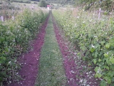 Mještani sela Boljkovac i Dobrošin gledali kako u nekoliko minuta nestaje sav njihov trud