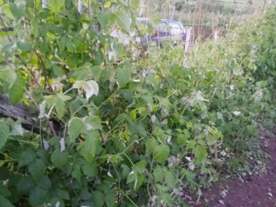 Mještani sela Boljkovac i Dobrošin gledali kako u nekoliko minuta nestaje sav njihov trud