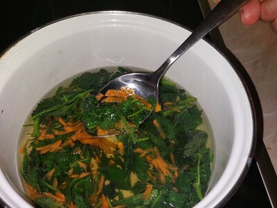 Mlada kopriva i priprema čorbice Mlada kopriva i priprema čorbice