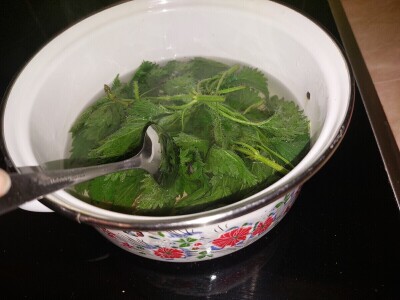 Mlada kopriva i priprema čorbice Mlada kopriva i priprema čorbice