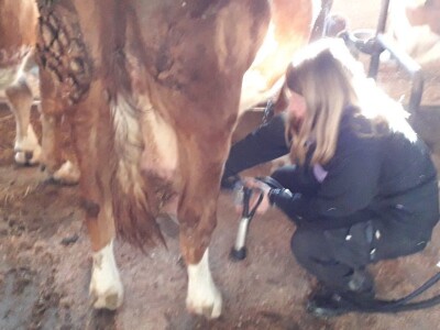 Mlada Slađana, najtraženiji seoski radnik