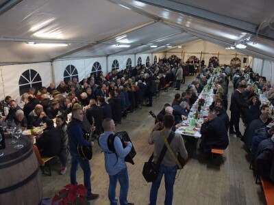 MLADA VINA - 10. Degustacija mladih vina i maslinovih ulja Nadin 2018