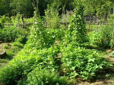 Mlada vlasnica OPG-a troškove života svela je na minimum