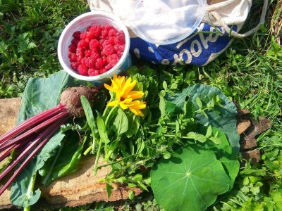 Mlada vlasnica OPG-a troškove života svela je na minimum