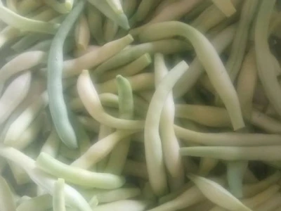 žute mahune