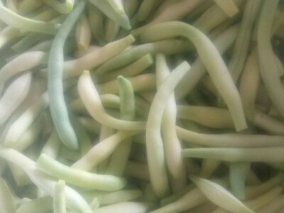 žute mahune žute mahune