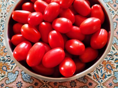 Mladen Katić o plamenjači