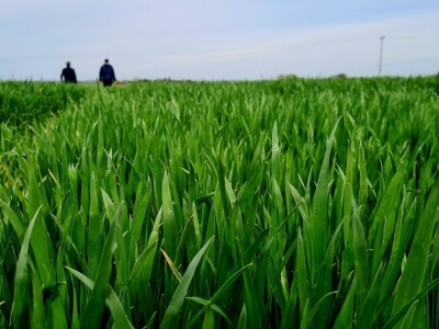 Mladen Keselj koristi proizvode iz asortimana tvrtke RWA
