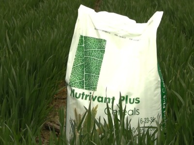 Mladen Keselj koristi proizvode iz asortimana tvrtke RWA