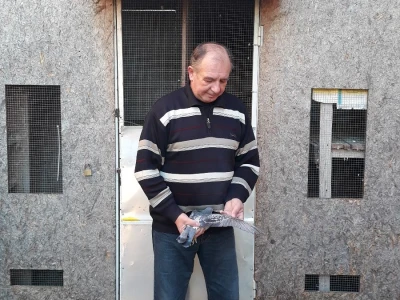 Mladen Vuković