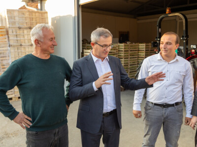 Mladenović iz Dubone prave prirodne sokove