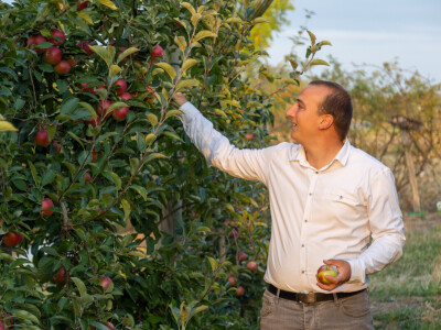 Mladenović iz Dubone prave prirodne sokove