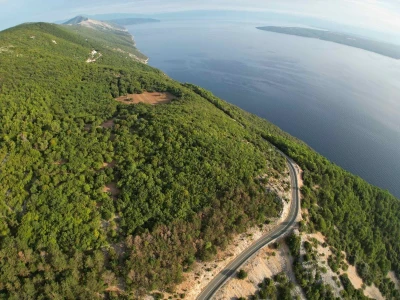 Mladi bjeloglavi supovi ponovno prelijeću Kvarnerske otoke