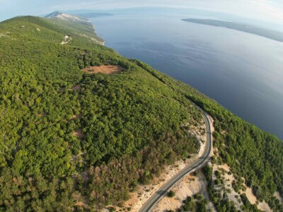 Mladi bjeloglavi supovi ponovno prelijeću Kvarnerske otoke