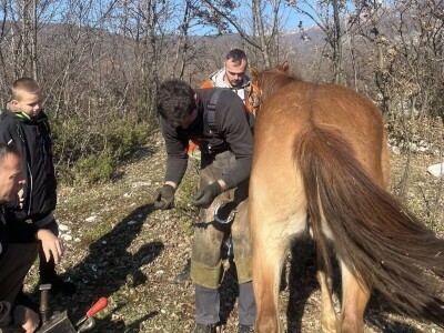 Mladi Haris Ganić iz Visokog potkuje do 60 konja mjesečno