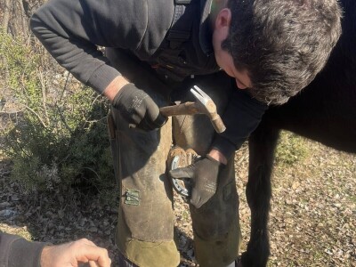 Mladi Haris Ganić iz Visokog potkuje do 60 konja mjesečno