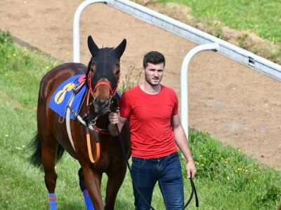 Mladi Haris Ganić iz Visokog potkuje do 60 konja mjesečno