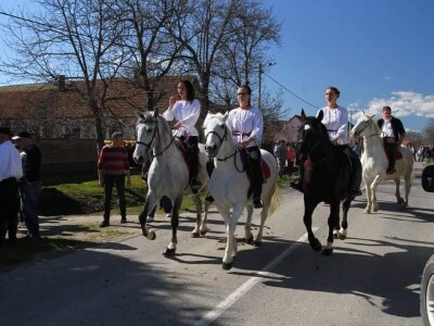 Apel mladog Slavonca