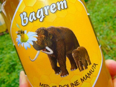 Mladi kuhar s vizijom - pokrenuo je OPG, osmislio brend i povukao bespovratnih 10 000 Eura