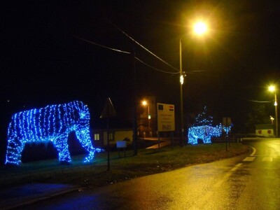 Mladi kuhar s vizijom - pokrenuo je OPG, osmislio brend i povukao bespovratnih 10 000 Eura