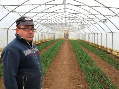 BIznis porodice Stojanović