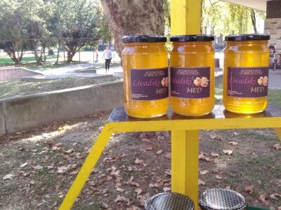 Mladi pčelar Radoslav Radanović startovao sa četiri, a danas ima 60 košnica