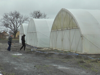 Mladi poljoprivrednici u Sremu svaštare