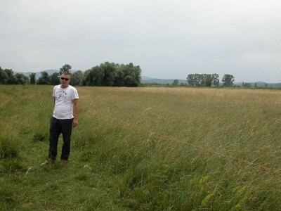 Bože Banić i njegova sjenokoša u Sinjskom polju