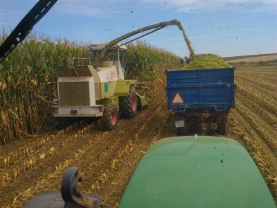 Mladi stočar Marcel Dušek: Čovjek se na sve prilagodi pa tako i na to