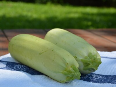 Mladi tim razvio brend Domestica Mladi tim razvio brend Domestica